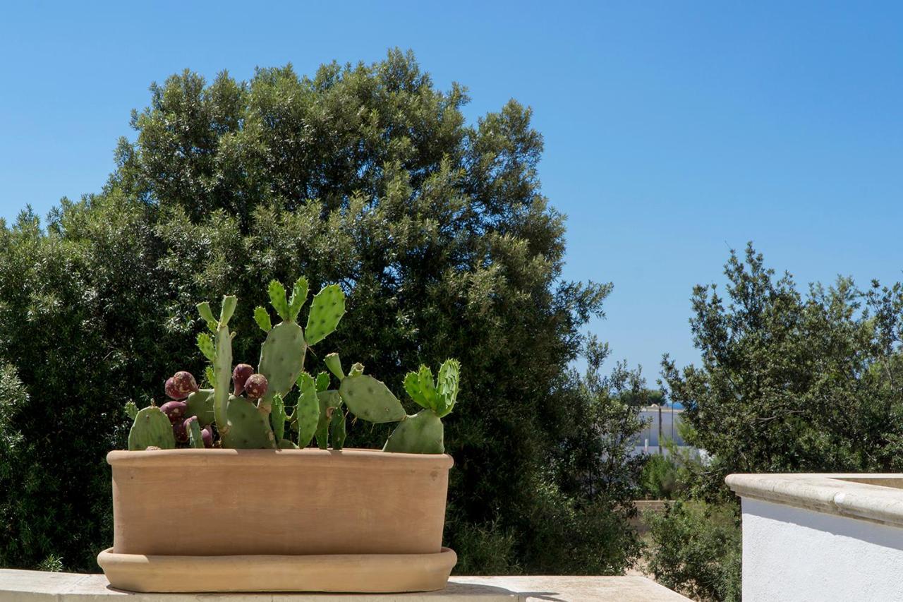 Antonella B&B Santa Maria di Leuca Exteriér fotografie